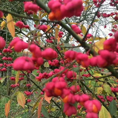 Σπίτι διακοπών L'oisellerie Le Renouard