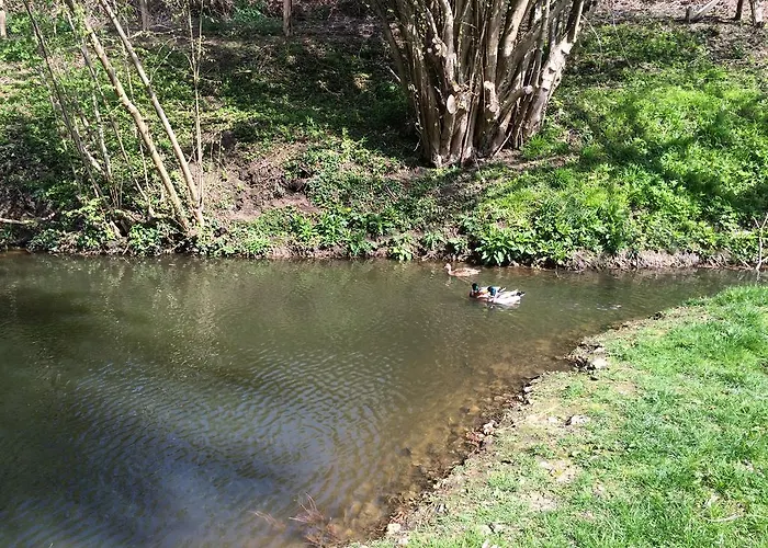 Maison Xviiie Avec Vue Panoramique Exceptionnelle - 12 Pers Au Coeur Du Pays D'Auge *