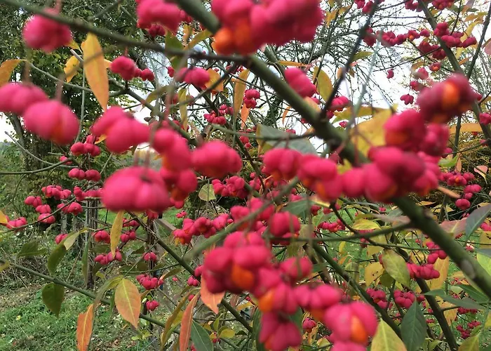 度假居 L'oisellerie Le Renouard