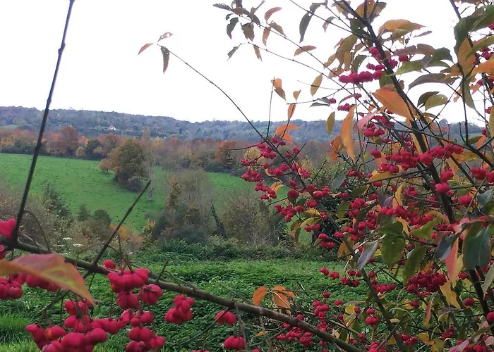 L'oisellerie Le Renouard
